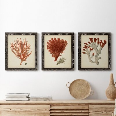 Antique Red Coral IV-Premium Framed Canvas - Ready To Hang - Image 0