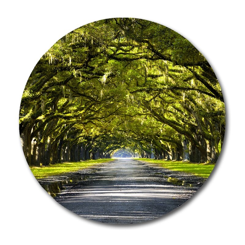 DecorumBY 'The Path Home' Unframed Photograph Size: 24" H x 24" W x 1" D, Format: Acrylic - Image 0