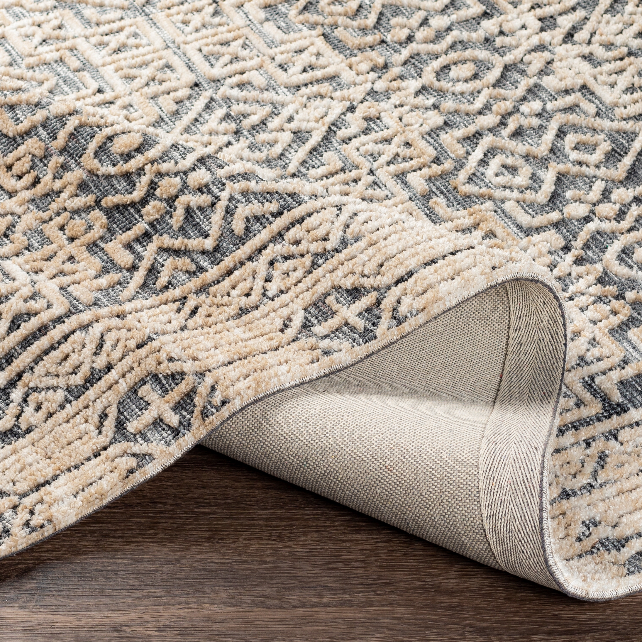 Talise Beige Indoor 2' x 3' Handmade Rug - Image 4