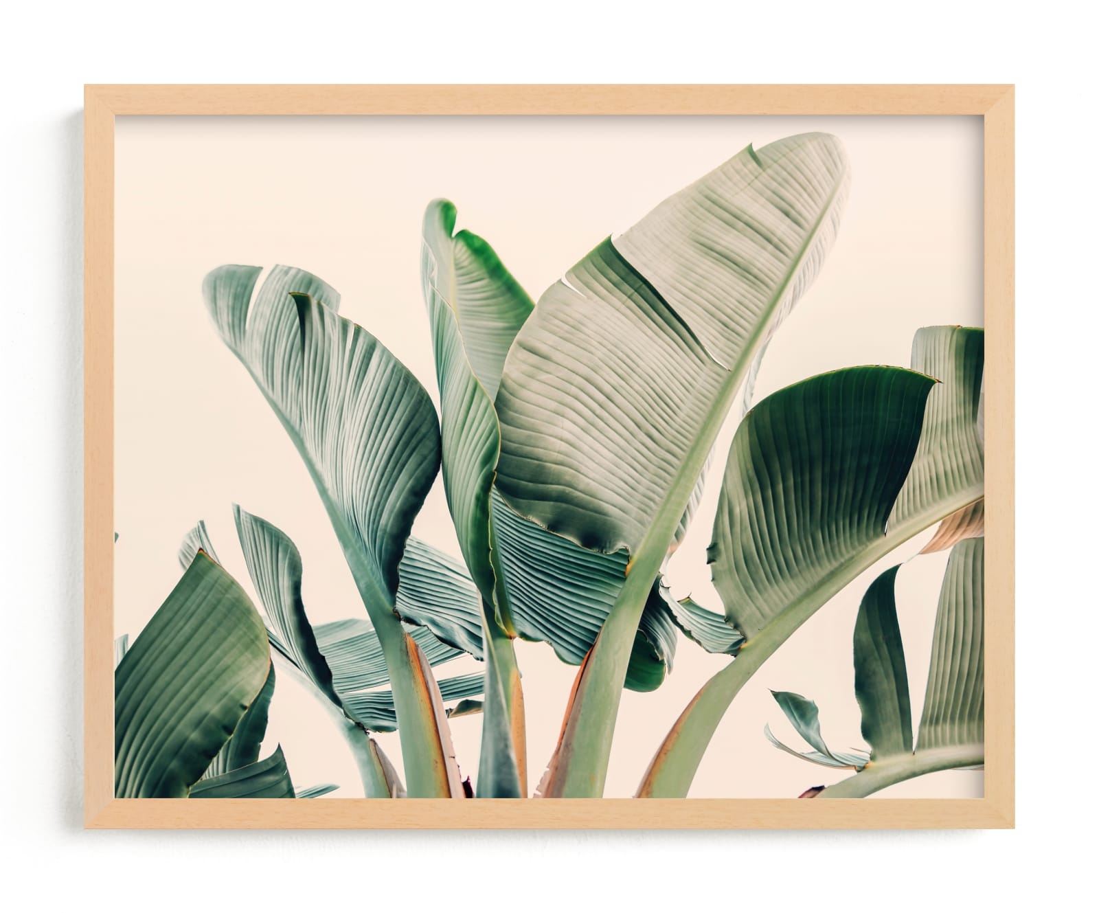 Bending To The Sun Limited Edition Fine Art Print 2 - Image 0