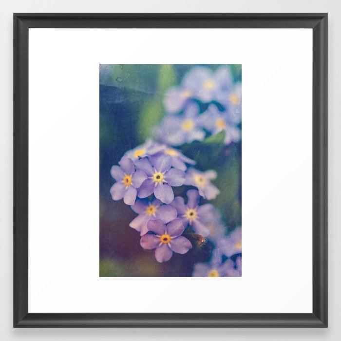 Forget Me Not Framed Art Print by Olivia Joy St Claire X  Modern Photograp - Scoop Black - Medium(Gallery) 20" x 20"-22x22 - Image 0