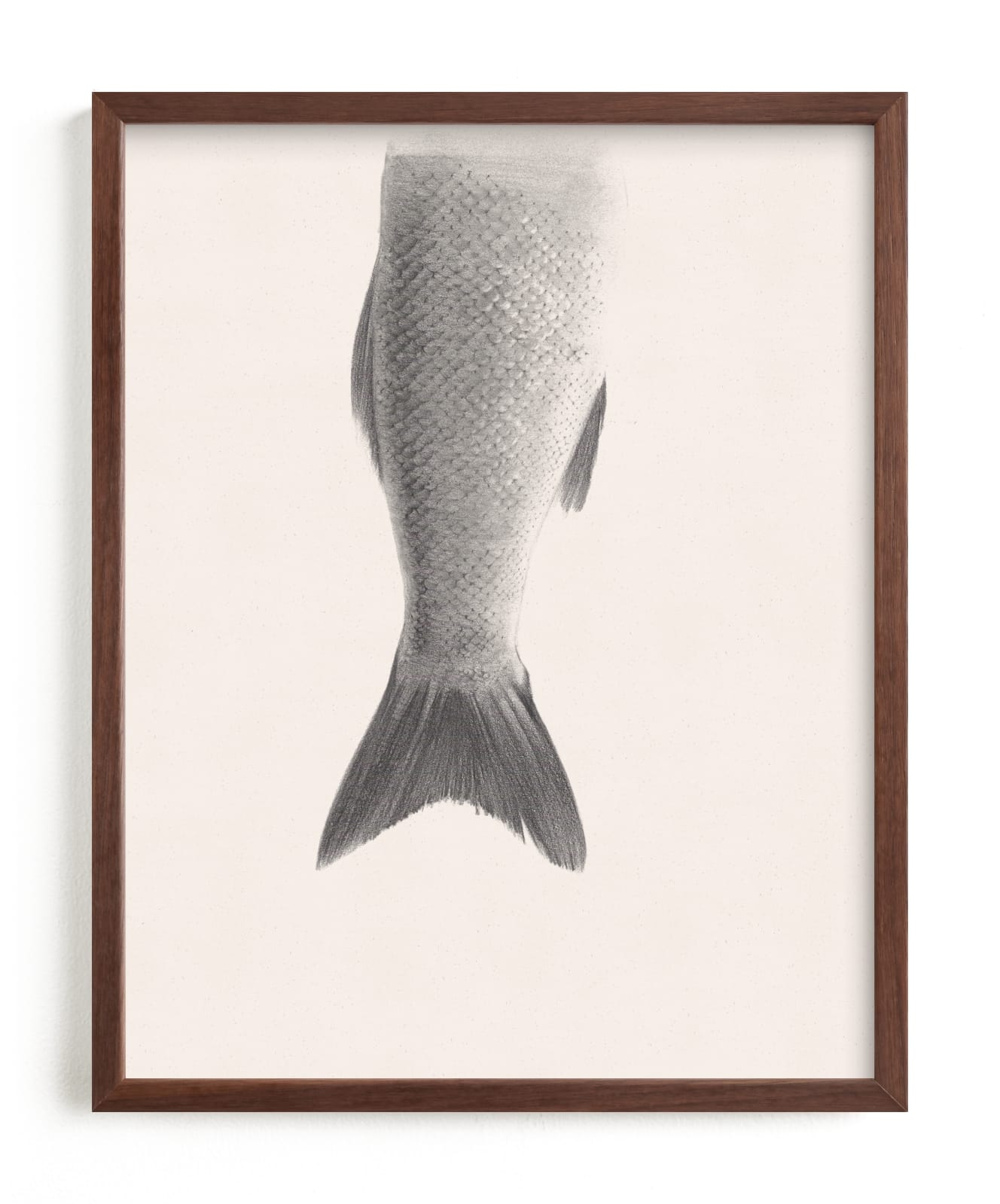 Fin Limited Edition Fine Art Print 2 - Image 0