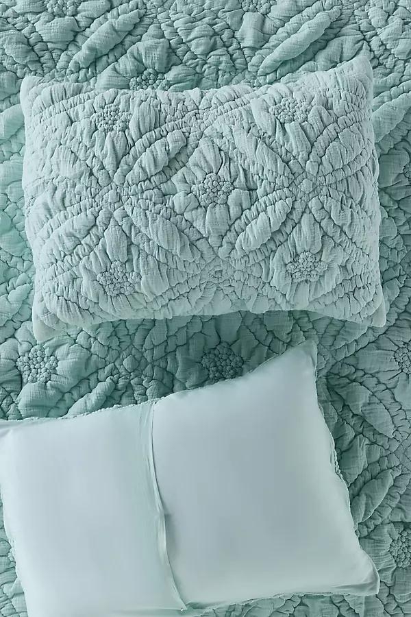 Everly Cotton Floral Shams, Set of 2 - Image 0