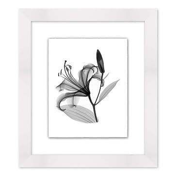 X-Ray Floral 1, Extra Small - Image 1