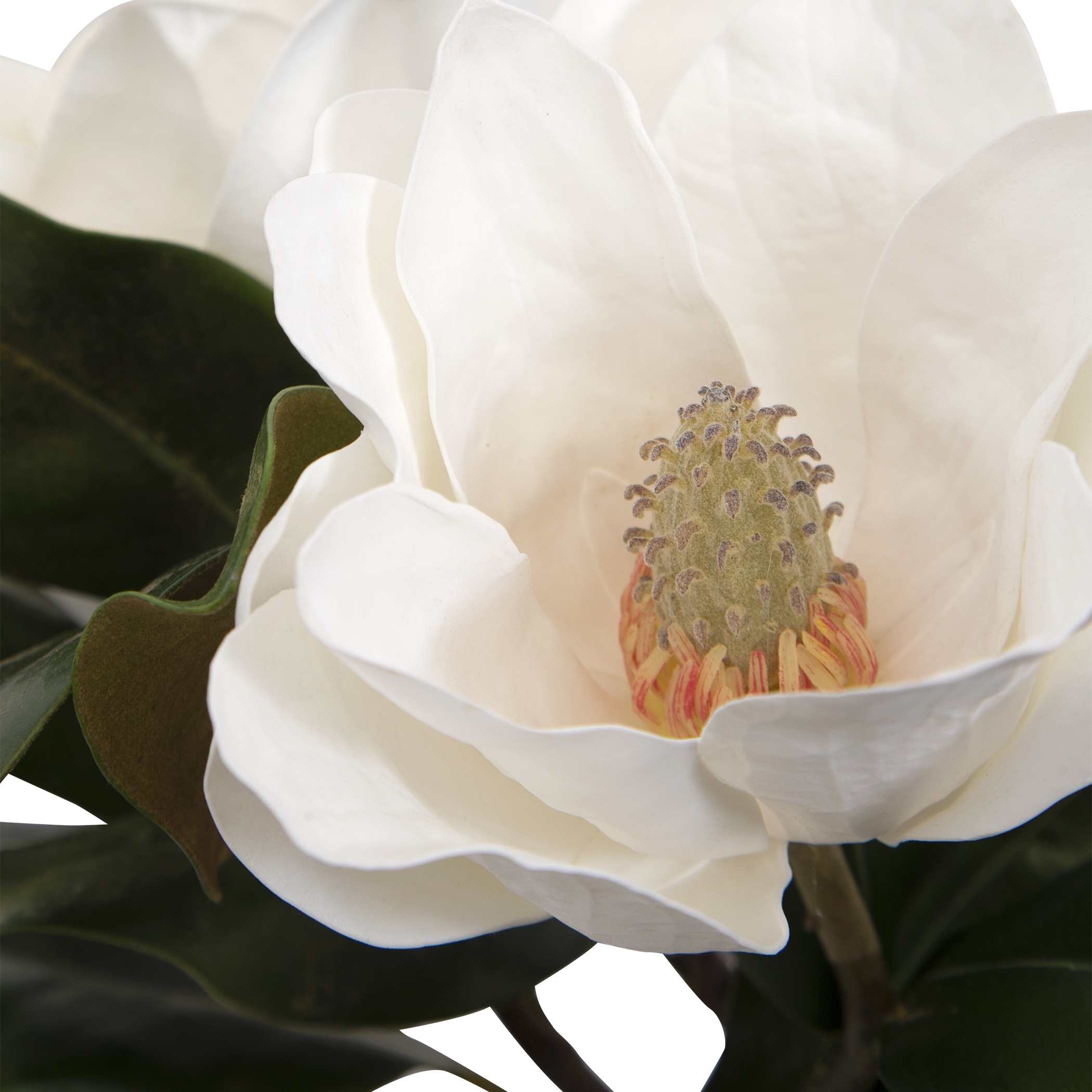 Middleton Magnolia Flower Centerpiece - Image 4