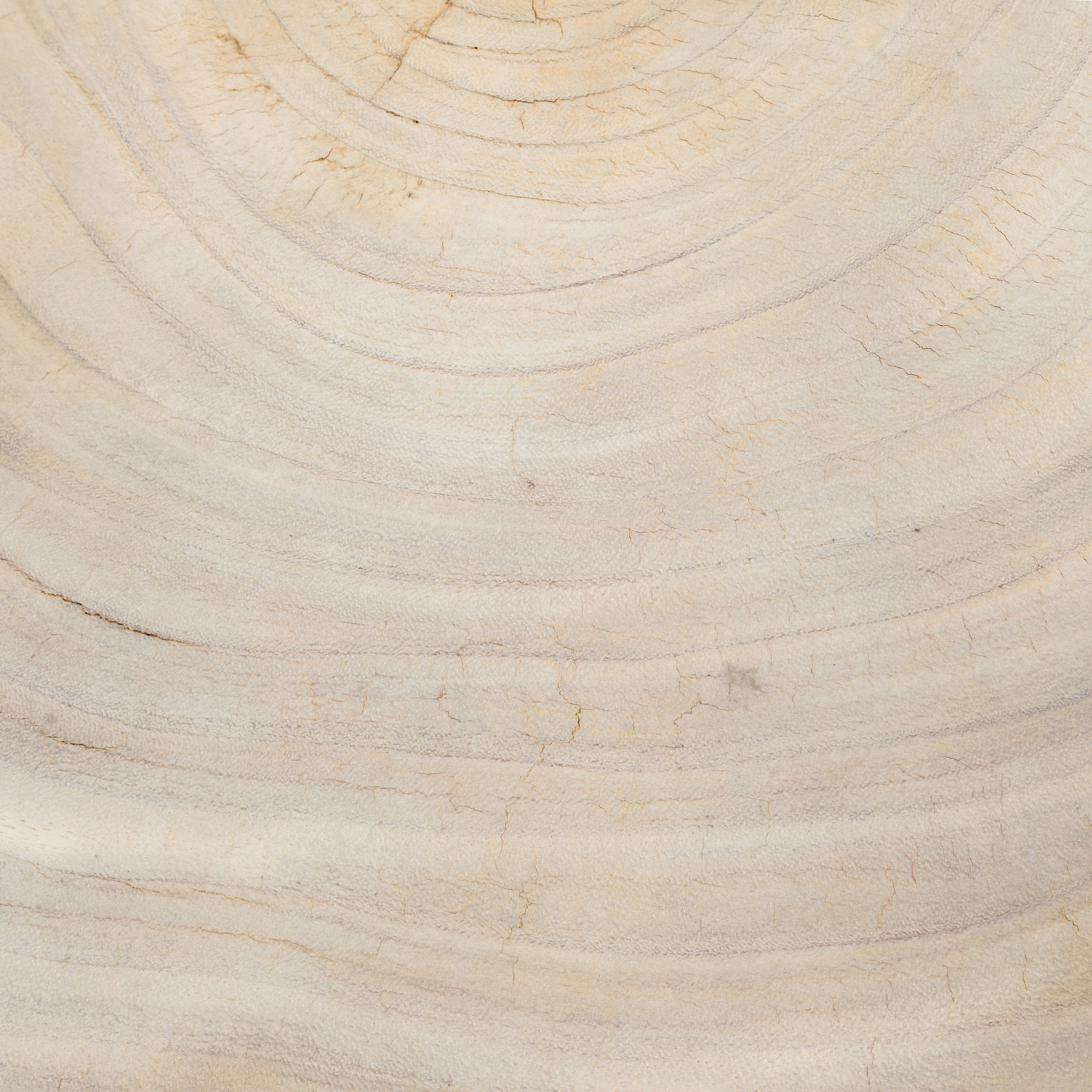 Avett Coffee Table-Bleached Guanacaste - Image 7