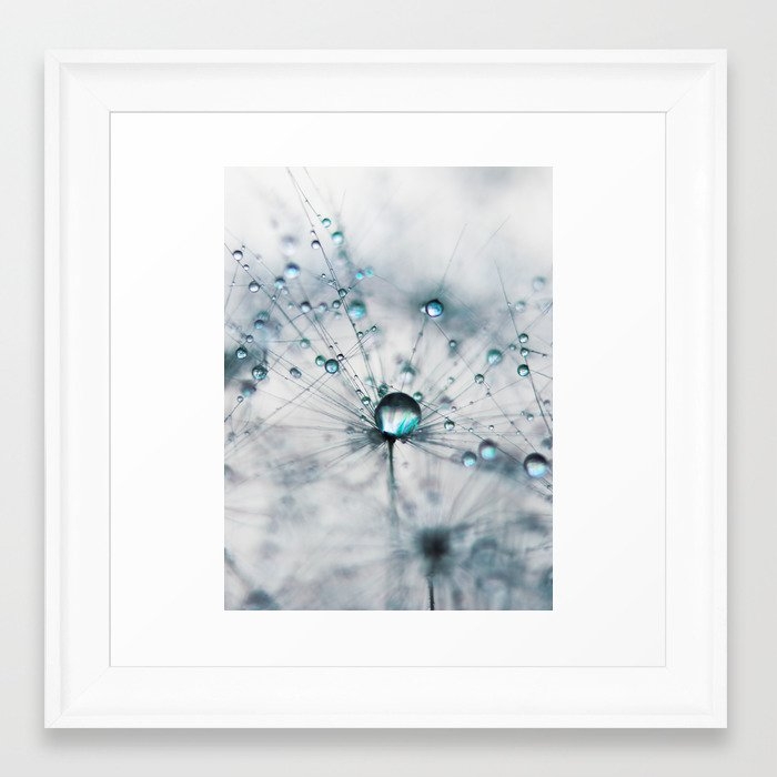 Dandelion Blue - Elegant Flower Photography By Ingrid Beddoes Framed Art Print by Ingrid Beddoes Photography - Scoop White - X-Small 10" x 10"-12x12 - Image 0