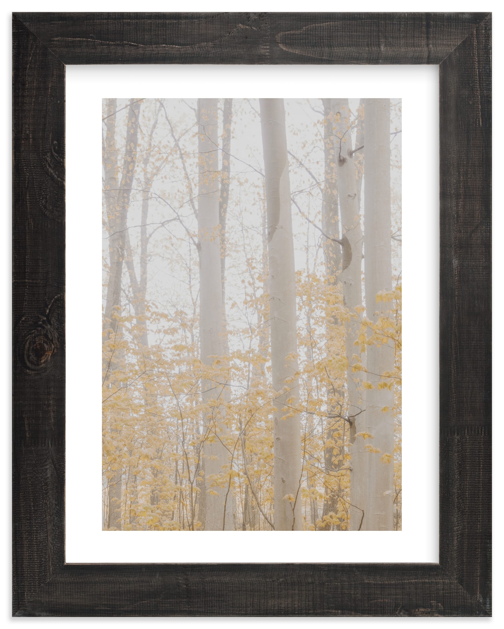 Be Still I Limited Edition Fine Art Print 2 - Image 0