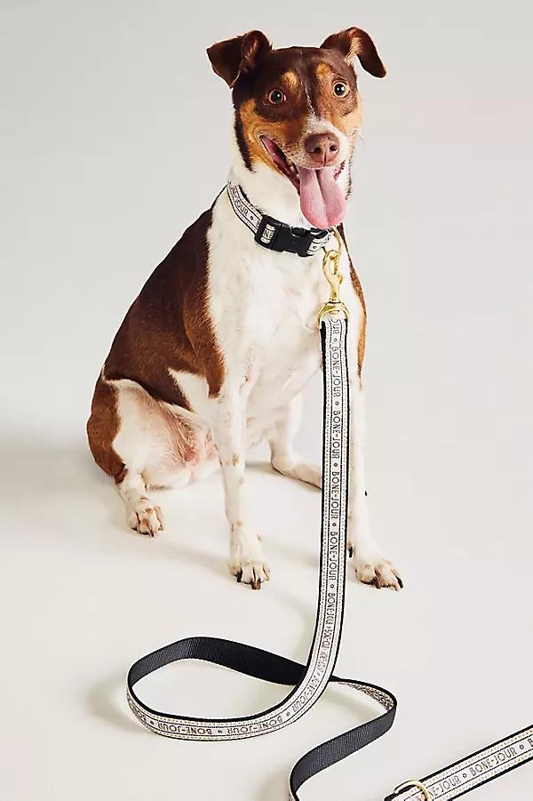 The Bistro Tile Dog Leash - Image 0