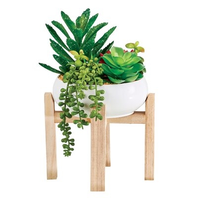 Delightful Succulent Arrangement With Planter Stand - Image 0