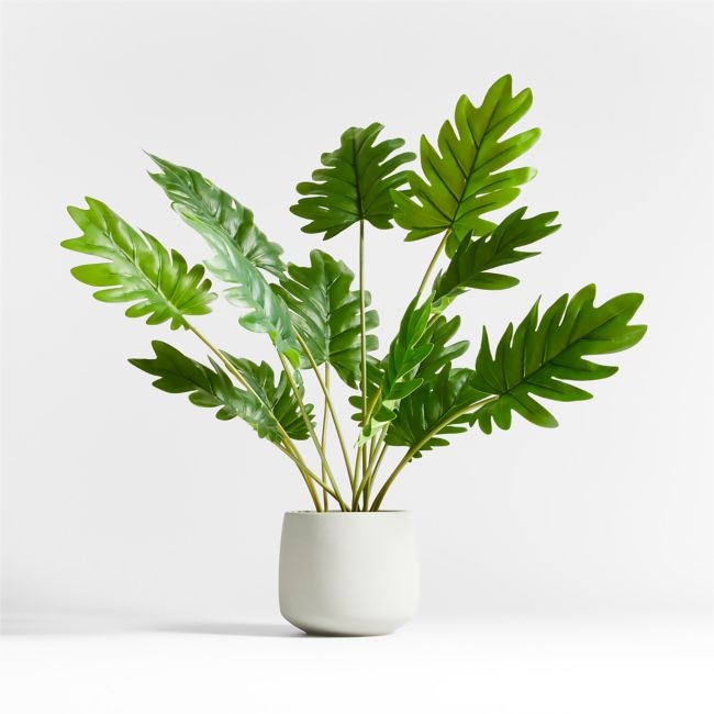 Potted Faux Philodendron 24" - Image 0