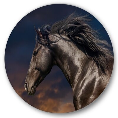 Portrait Of Thoroughbred Nonius Stallion Horse III - Farmhouse Metal Circle Wall Art - Image 0