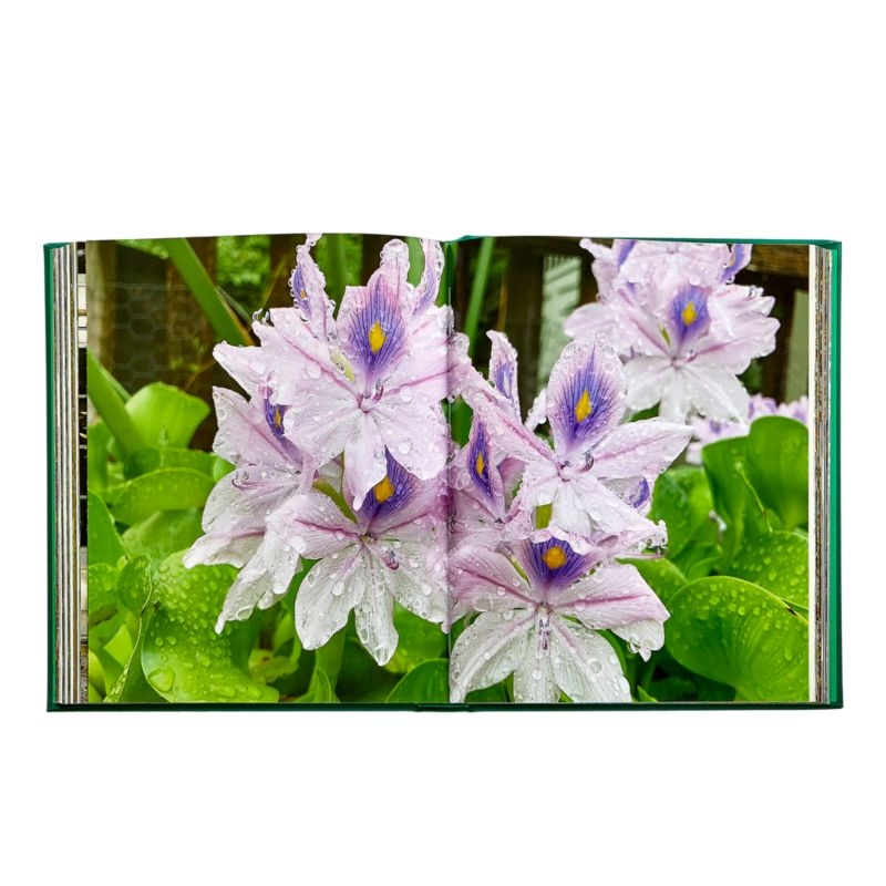 "Bunny Williams" Home Decor Book - Image 4