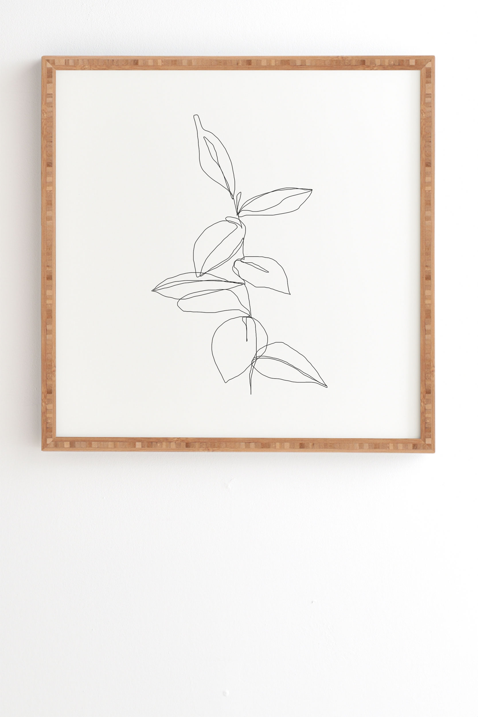 Framed Wall Art Bamboo, Plant Illustration Berry, 16" x 16" - Image 0