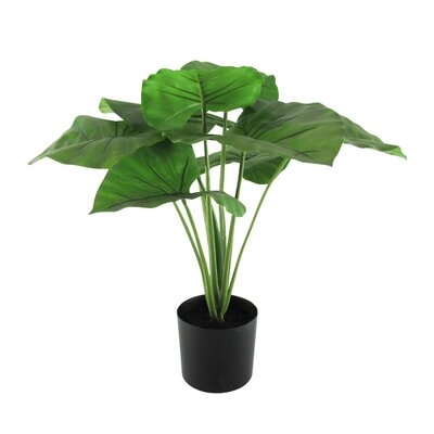 19In Real Touch Philodendron Ivy Plant In Pot - Image 0