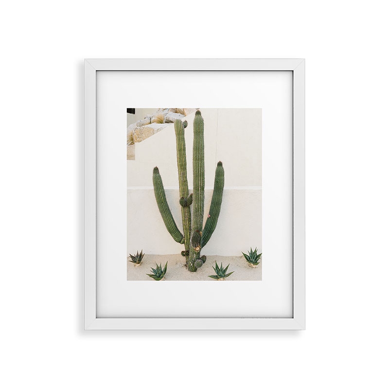 Cabo Cactus X by Bethany Young Photography - Modern Framed Art Print, White, 24x36" - Image 0