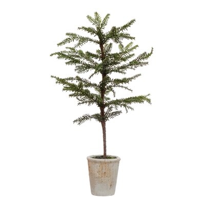 Faux Pine Tree In Distressed White Terra-Cotta Pot - Image 0