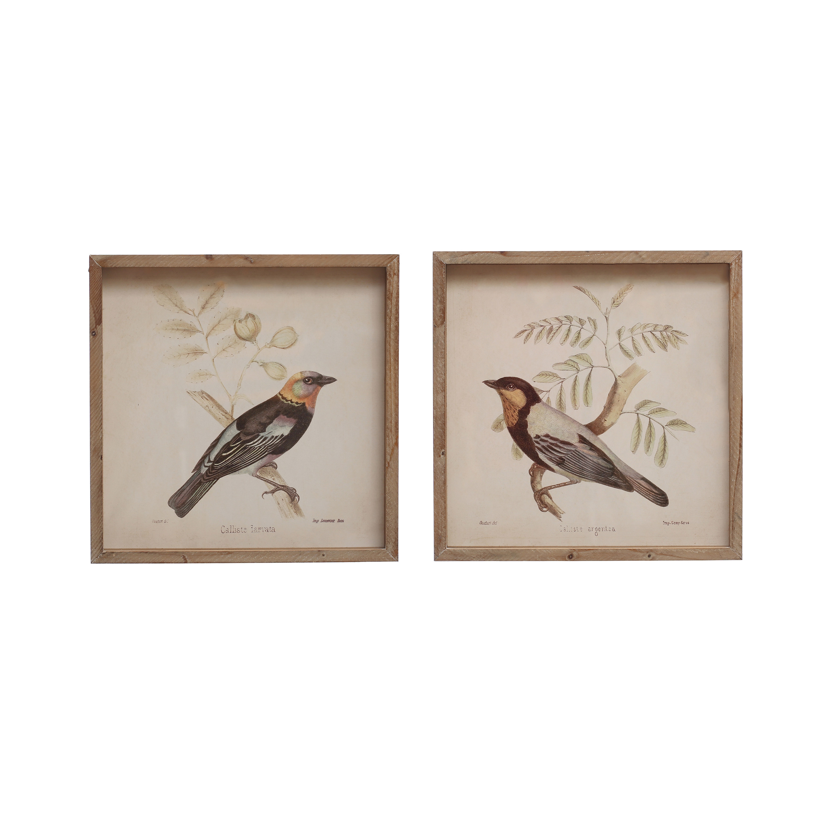 14 Inches Square Wood Framed Glass Wall Décor with Bird Designs, Multicolor, Set of 2 - Image 0