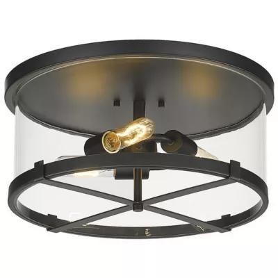 Young Flushmount - Image 1