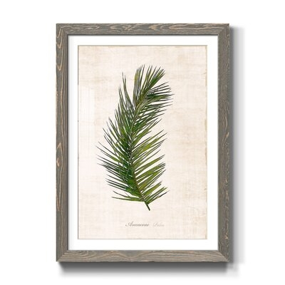 Palm Botanical II - Picture Frame Graphic Art Print on Paper - Image 0
