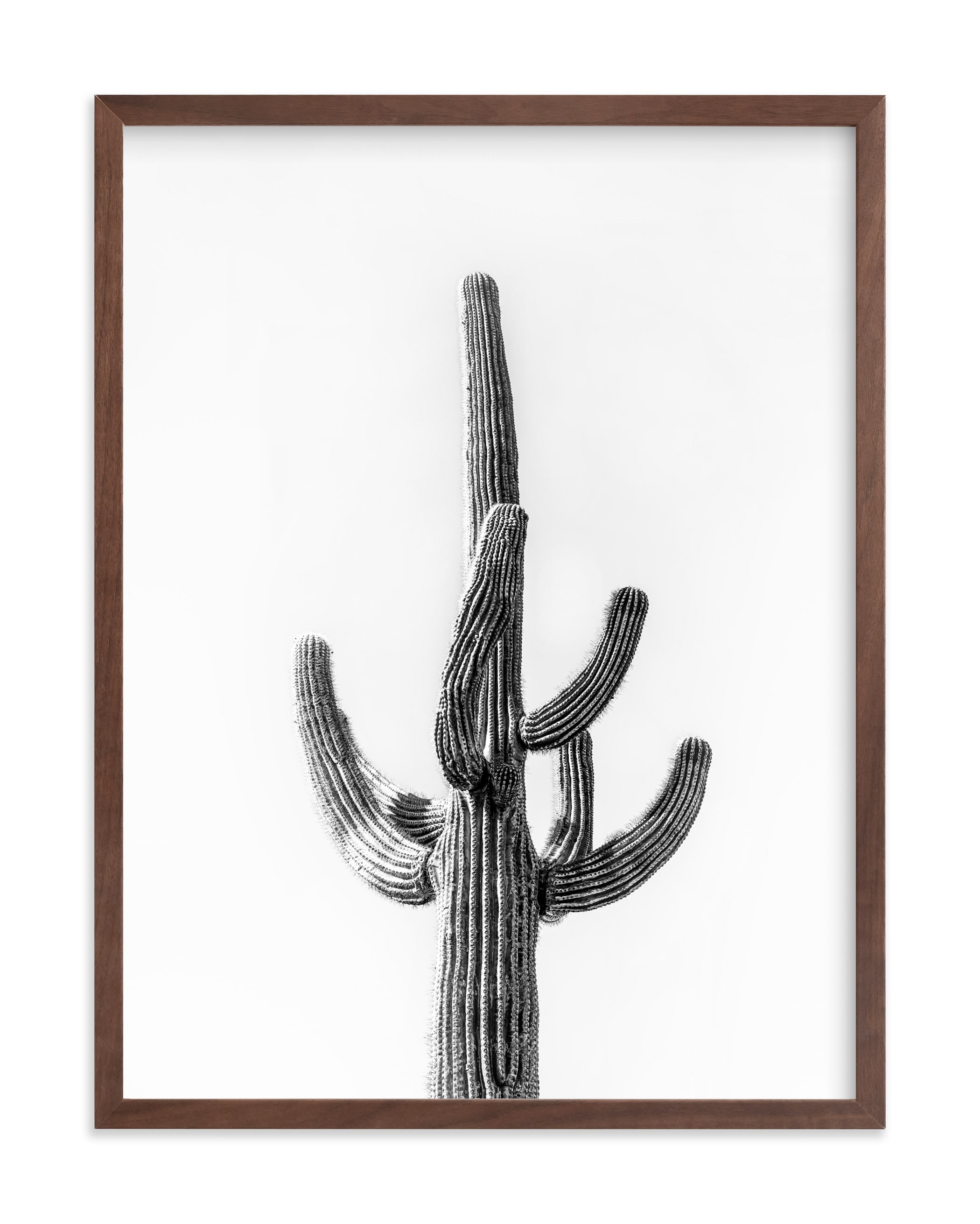 Lone Cactus Limited Edition Fine Art Print 2 - Image 0
