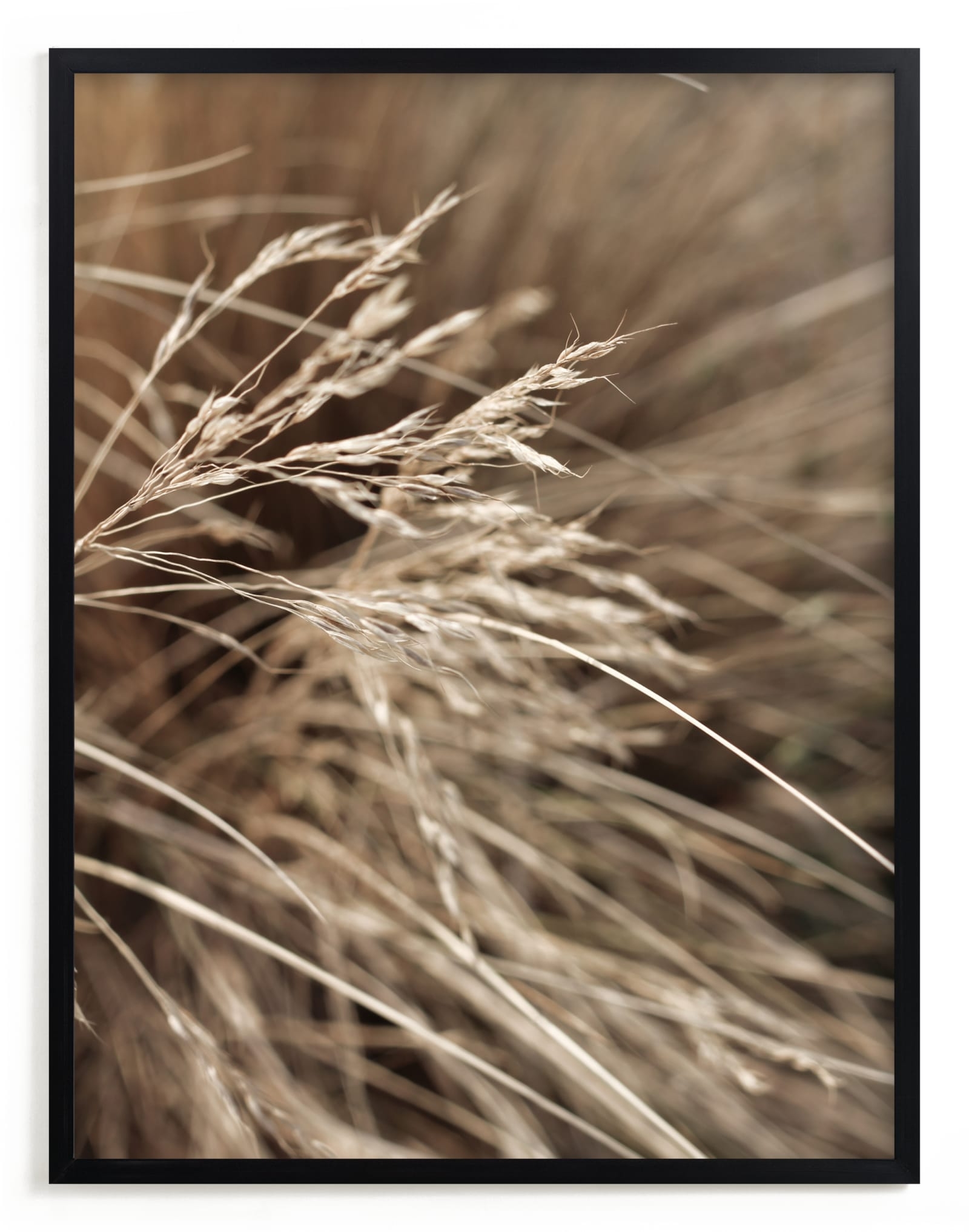 Summertime 2 Limited Edition Fine Art Print 2 - Image 0