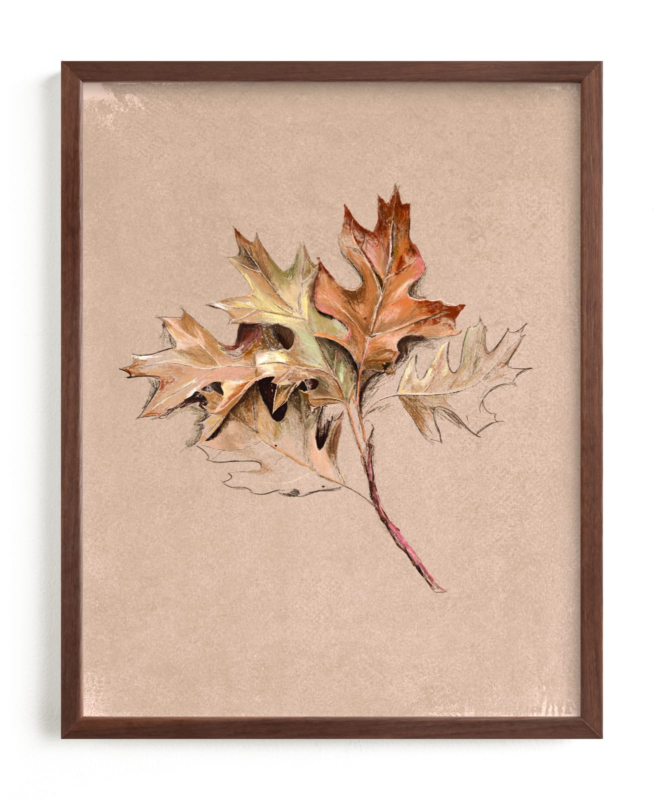 Leaf Study Limited Edition Fine Art Print 2 - Image 0