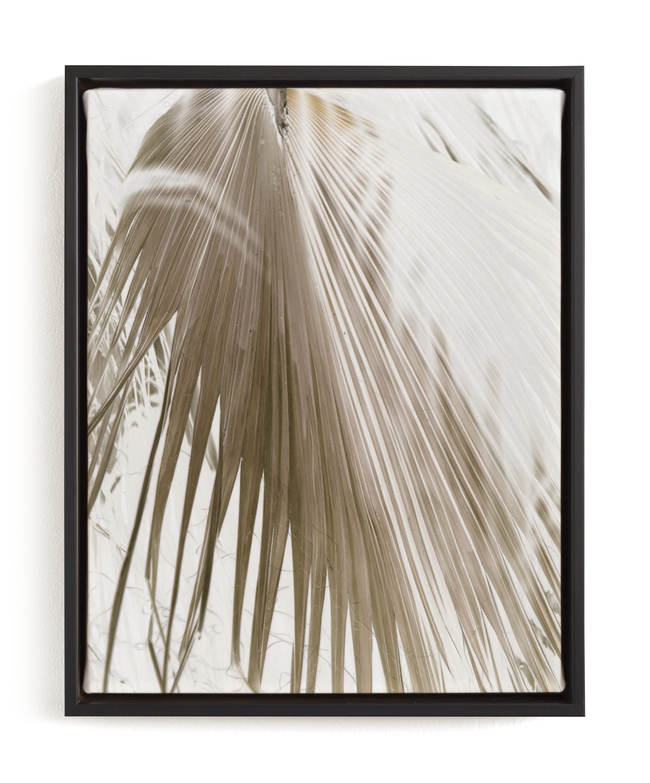 Vanilla Palm Limited Edition Fine Art Print 1 - Image 0