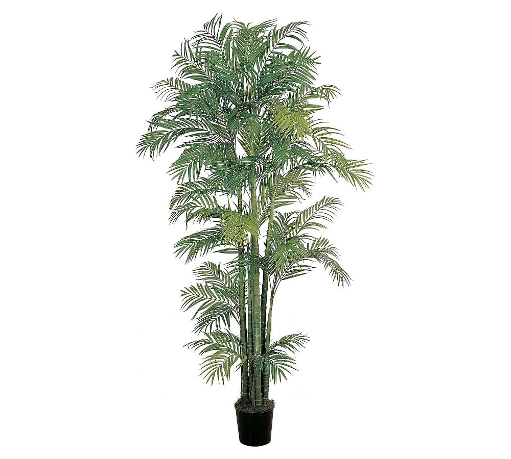 Faux Wide Areca Palm Tree, 7' - Image 0