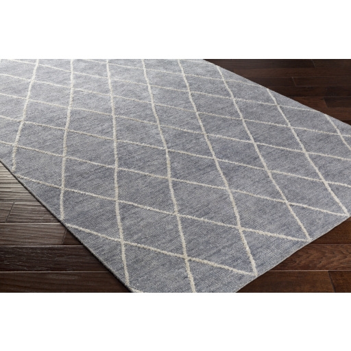 Jaque Gray Indoor 4' x 6' Handmade Rug - Image 2