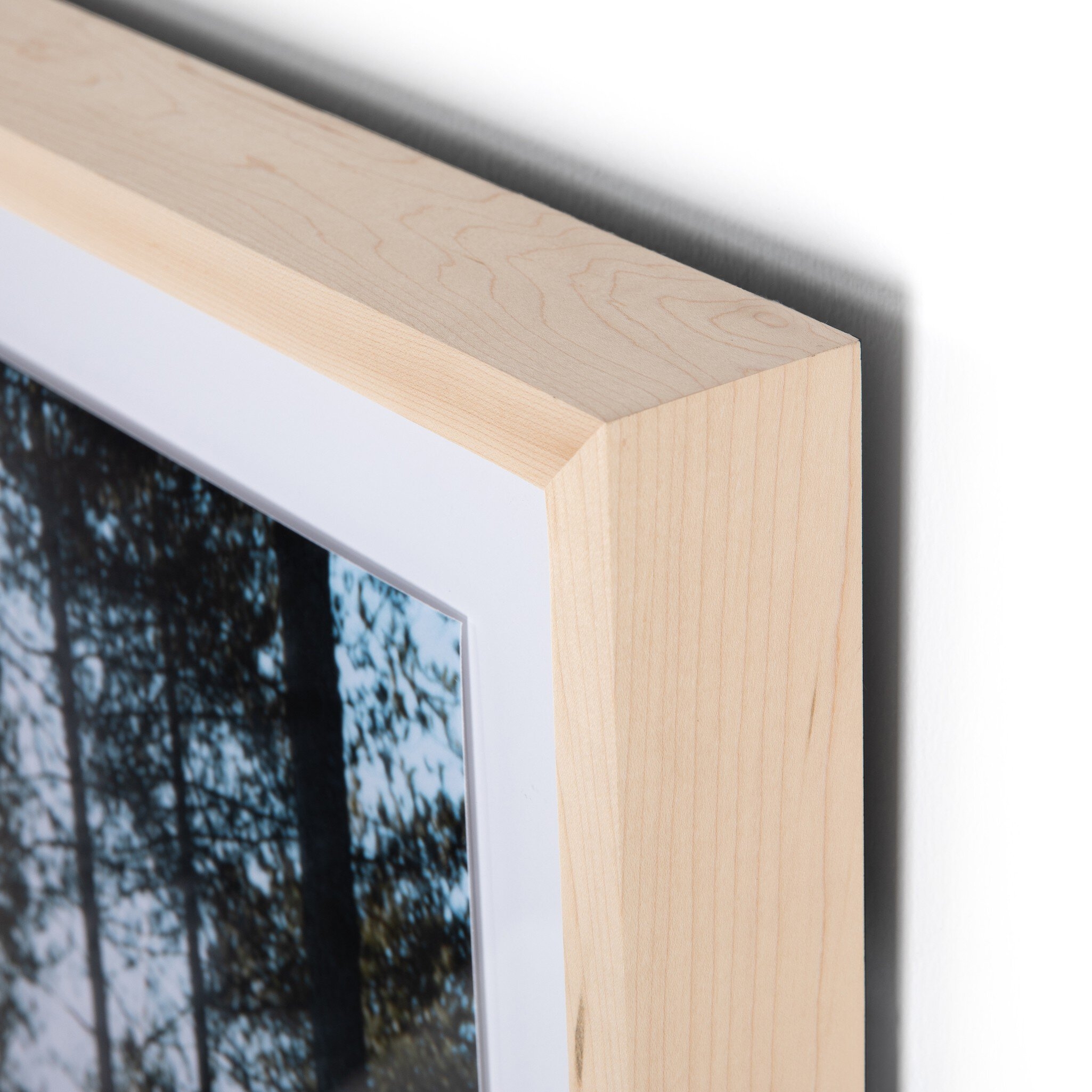 Dibden Enclosure by Annie Spratt - Image 3