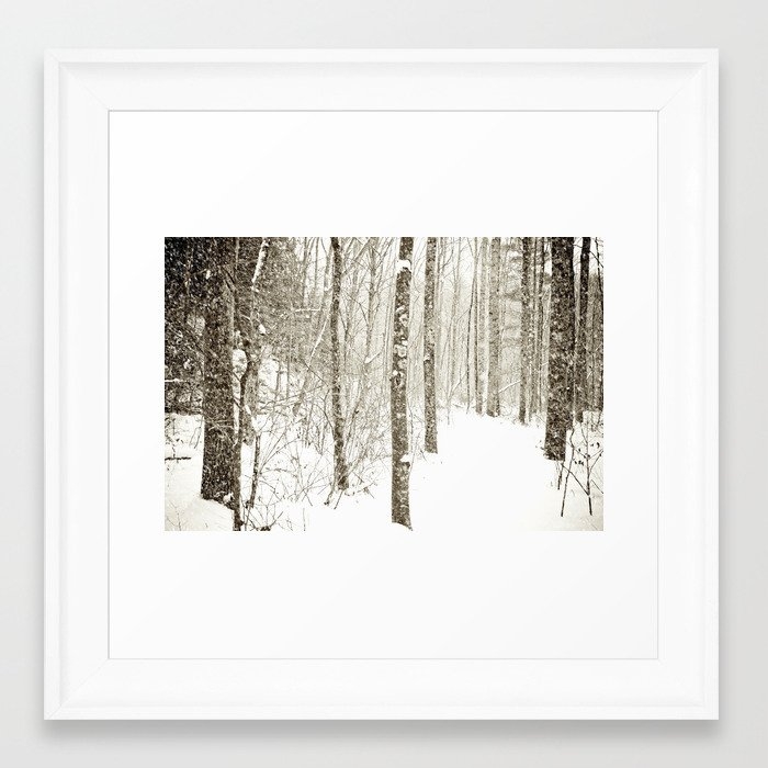 Wintry Mix Framed Art Print by Olivia Joy St Claire X  Modern Photograp - Scoop White - X-Small 10" x 10"-12x12 - Image 0