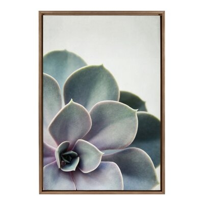 'Succulent 5' by F21Images - Floater Frame Photograph Print on Canvas - Image 0