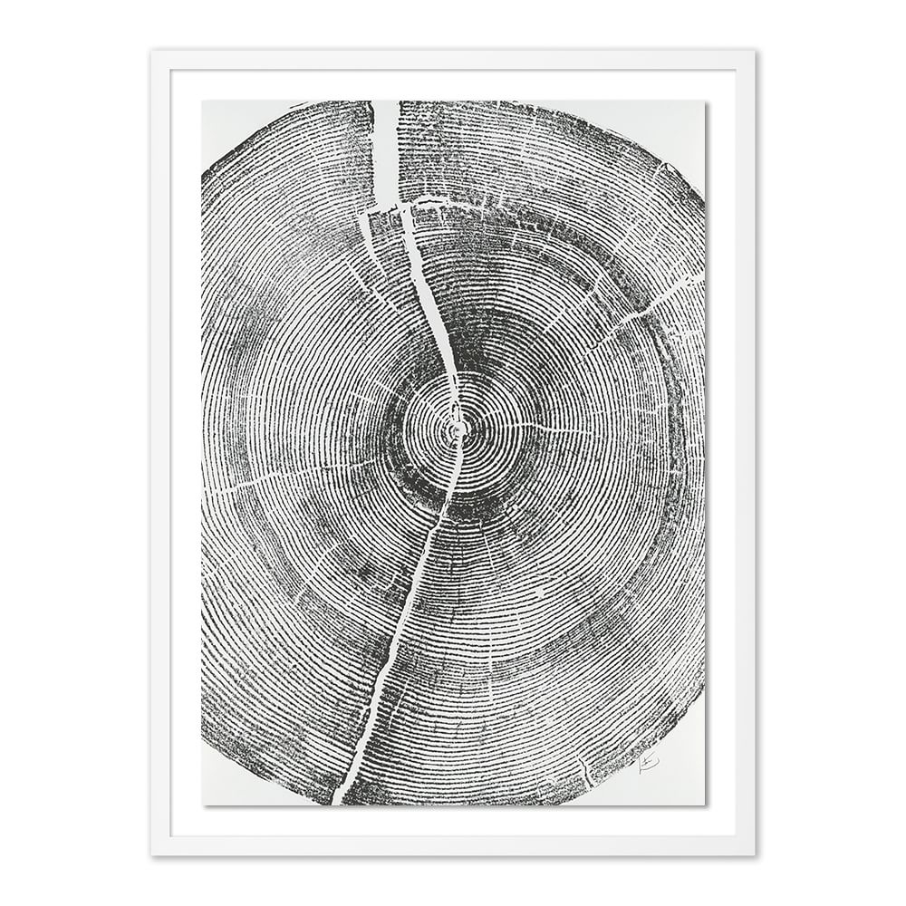 Rock Canyon Pine By Erik Linton, Framed Paper, Giclee Print, White, 24x32 - Image 0