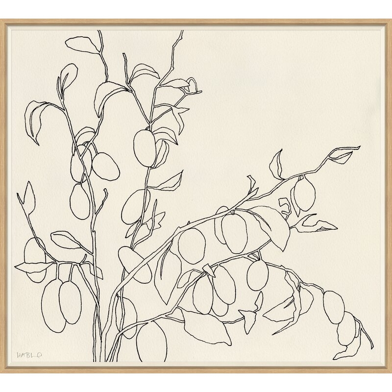 Soicher Marin 'Olives' by Susan Hable - Picture Frame Drawing Print on Paper - Image 0