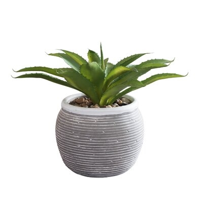 4.5'' Artificial Succulent in Pot - Image 0