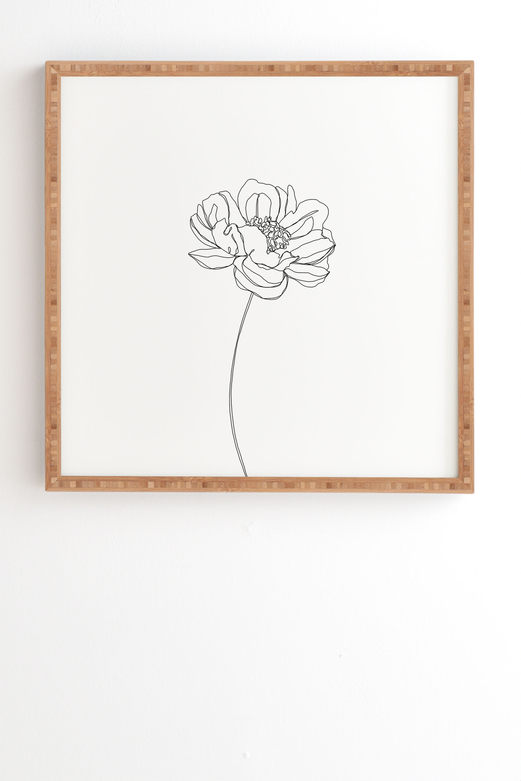 Single Flower Drawing Hazel by The Colour Study - Framed Wall Art Bamboo 20" x 20" - Image 1