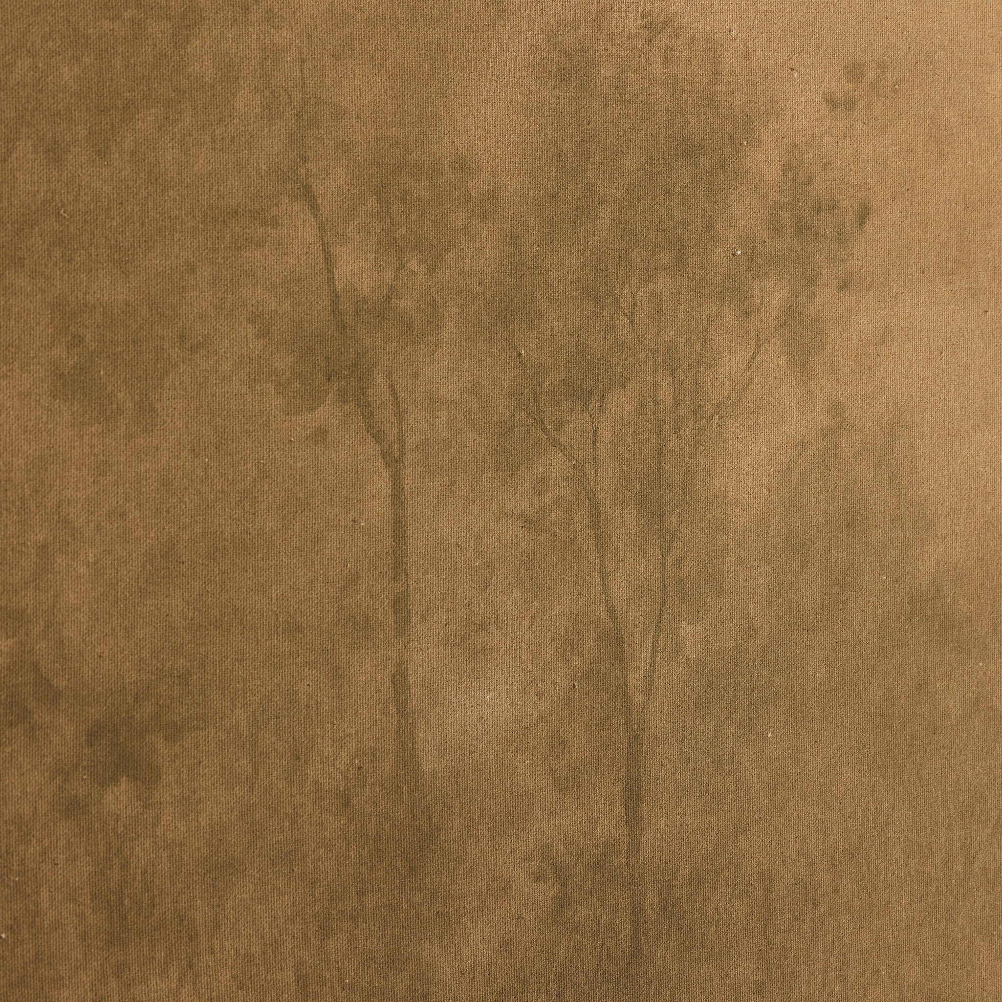 Illuminated by Aileen Fitzgerald - Rustic Walnut Floater - Image 5