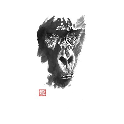 Gorilla by Péchane - Wrapped Canvas Print - Image 0