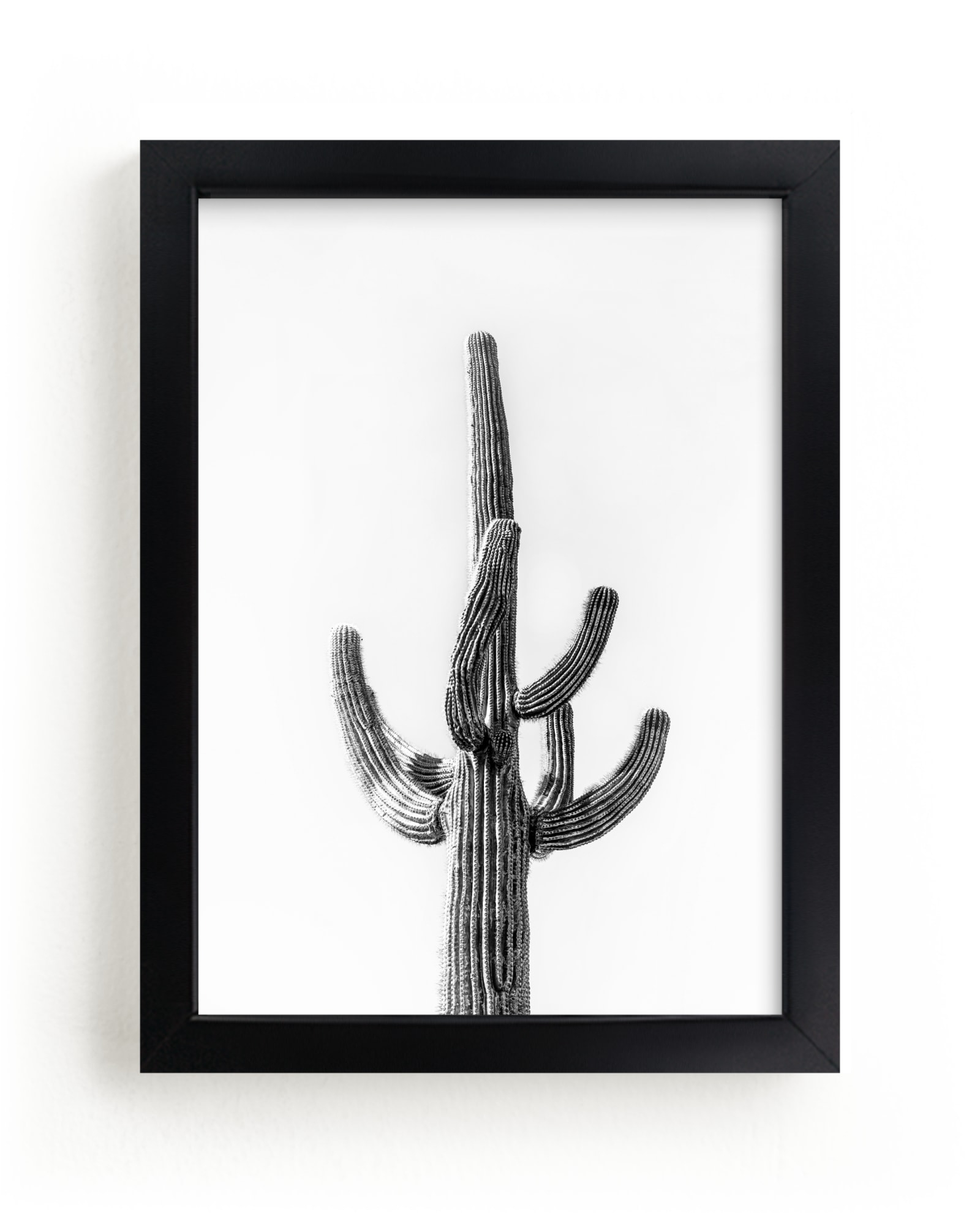 Lone Cactus Limited Edition Fine Art Print 2 - Image 0