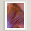 Dreamy Oyster Mushroom Limited Edition Fine Art Print 2 - Image 0
