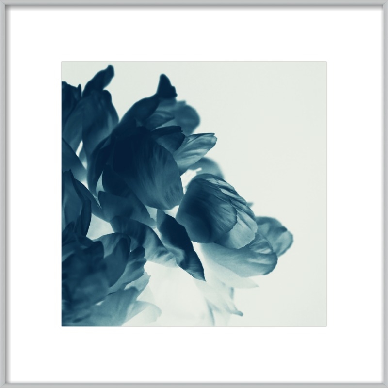 Blue Paeonia #6 by Alicia Bock for Artfully Walls - Image 0