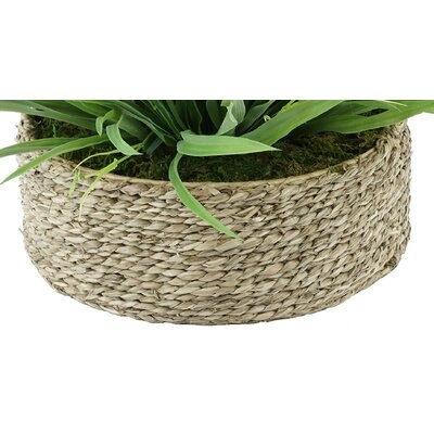 11" Artificial Grass in Basket - Image 0