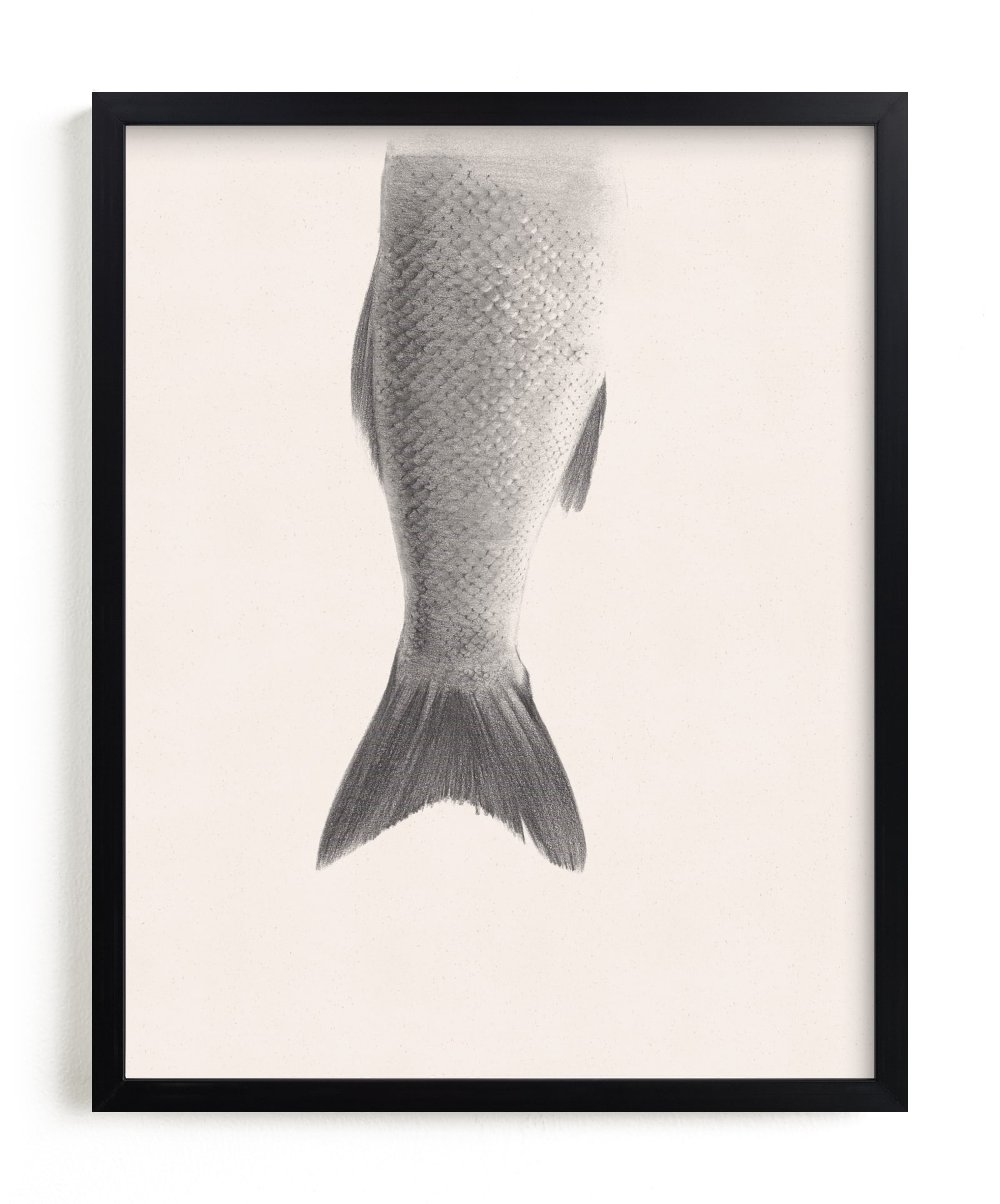 Fin Limited Edition Fine Art Print 2 - Image 0