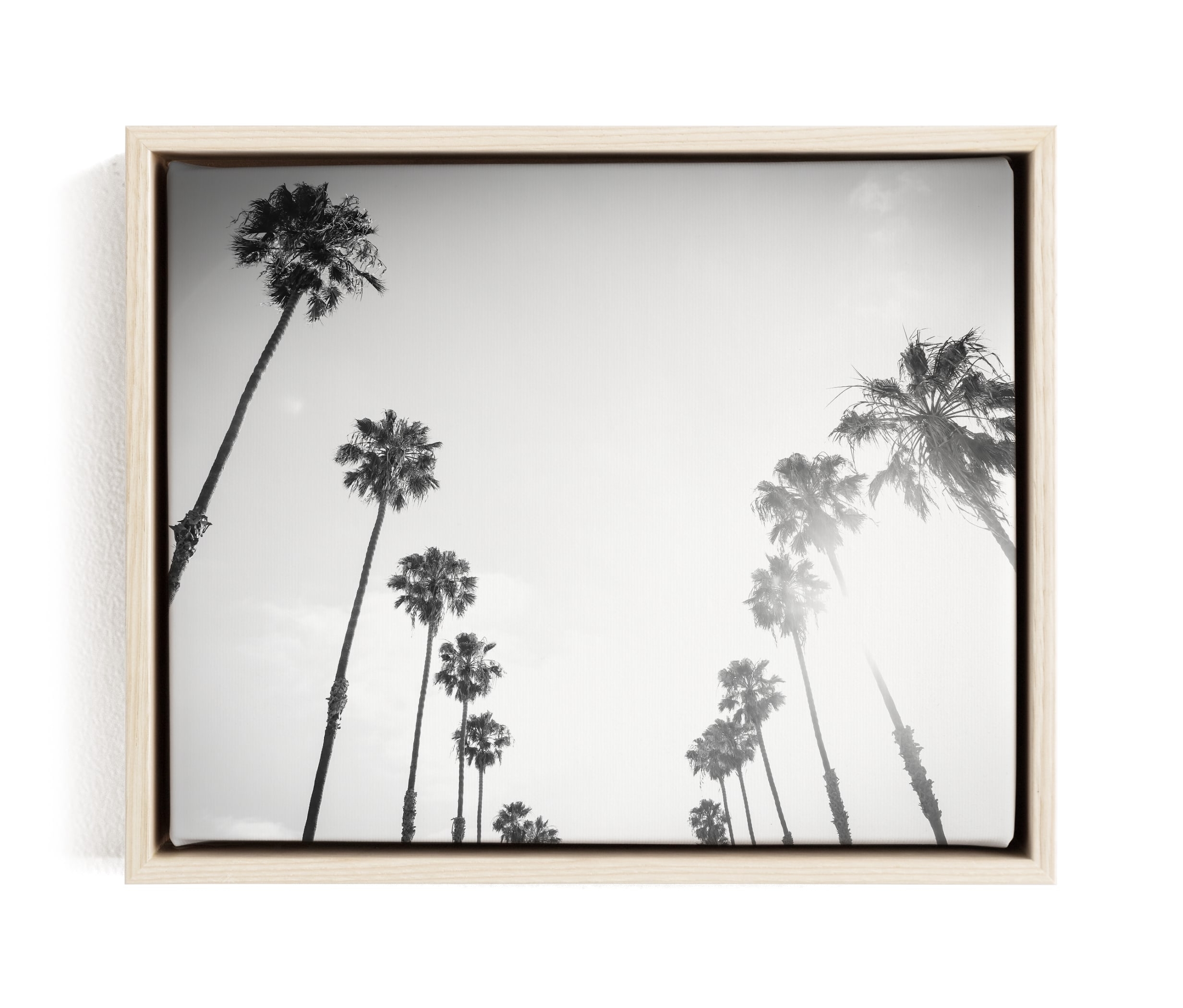 California Palms Limited Edition Fine Art Print 1 - Image 0
