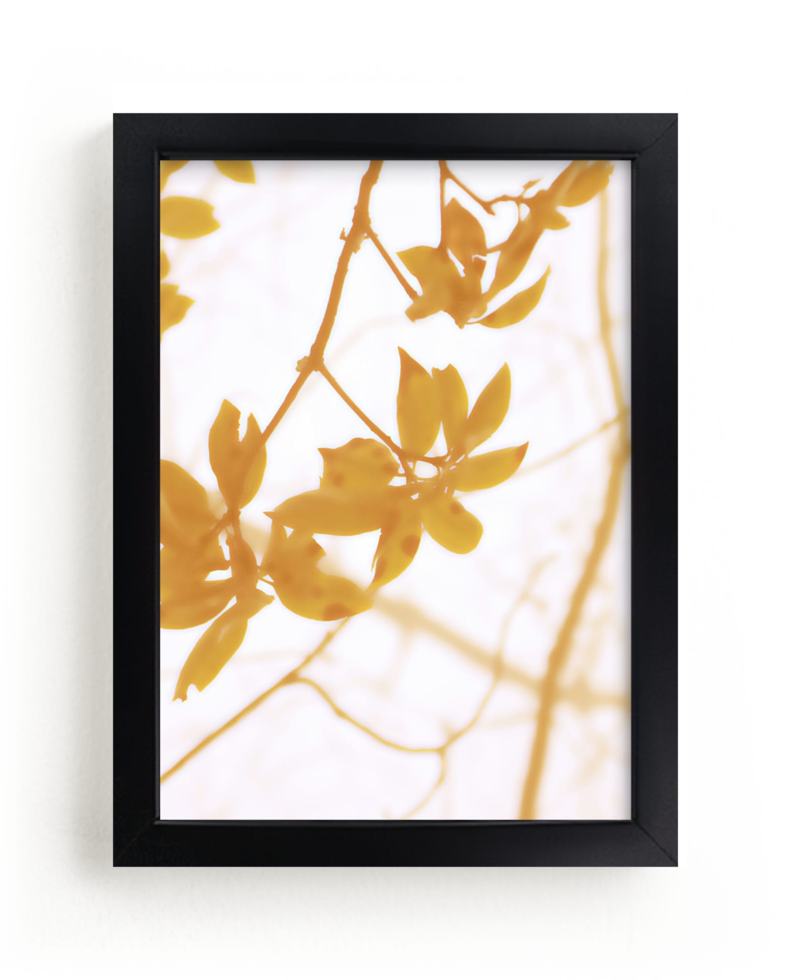 Morning I Limited Edition Fine Art Print 2 - Image 0