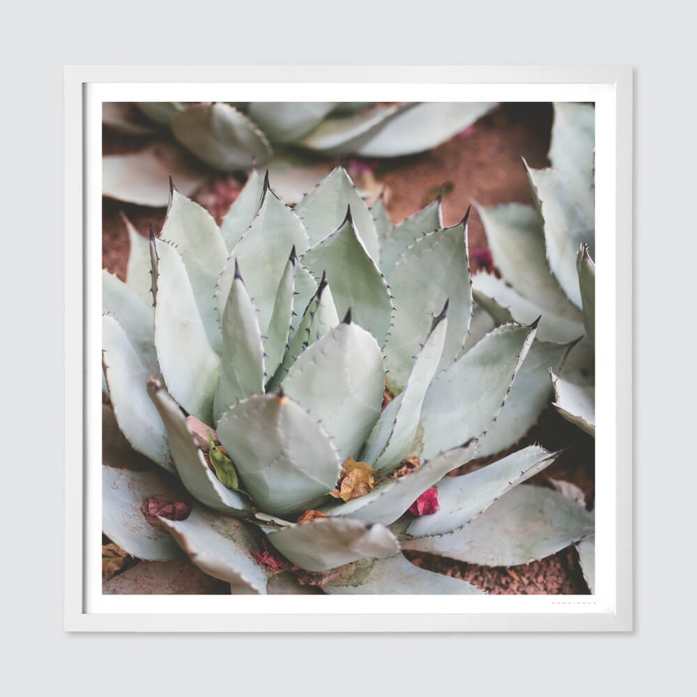 The Citizenry Jardin Wall Art | 30" x 30" | White - Image 0