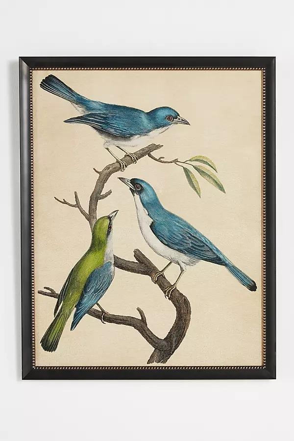 Blue Birds Wall Art - Image 0