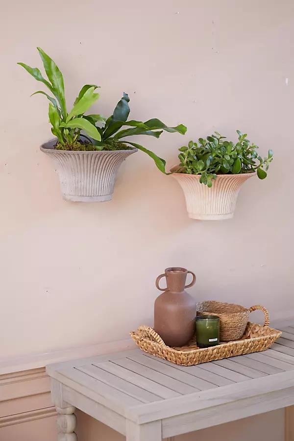 Daisy Hanging Wall Terracotta Pot - Image 0