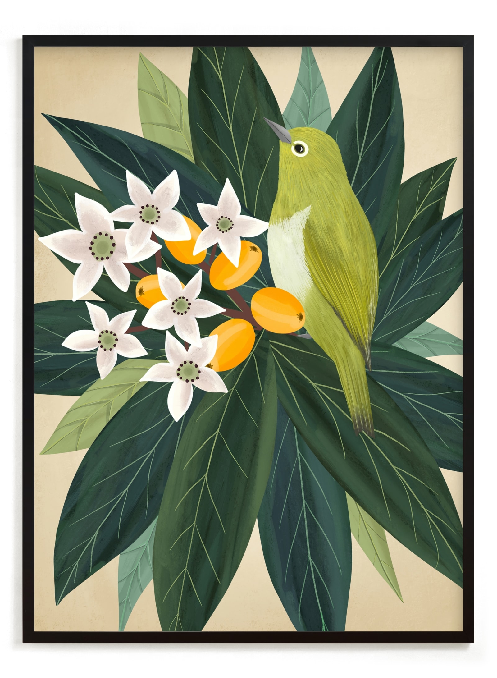 Loquat Limited Edition Fine Art Print 2 - Image 0
